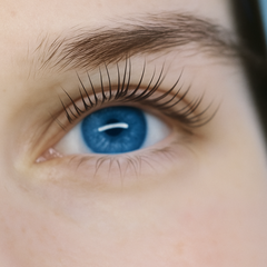 Korean Lash Lift