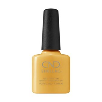 CND SHELLAC LIMONCELLO