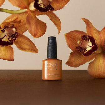 CND SHELLAC WILLOW TALK