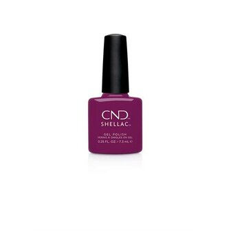  CND SHELLAC SECRET DIARY 