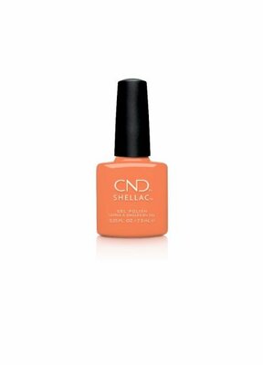 CND SHELLAC CATCH OF THE DAY